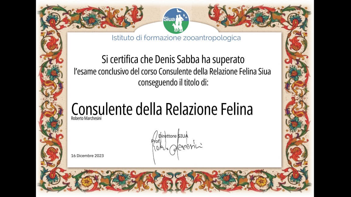 Denis Sabba Attestato Siua di consulente della relazione felina, Istituto di formazione zooantropologica