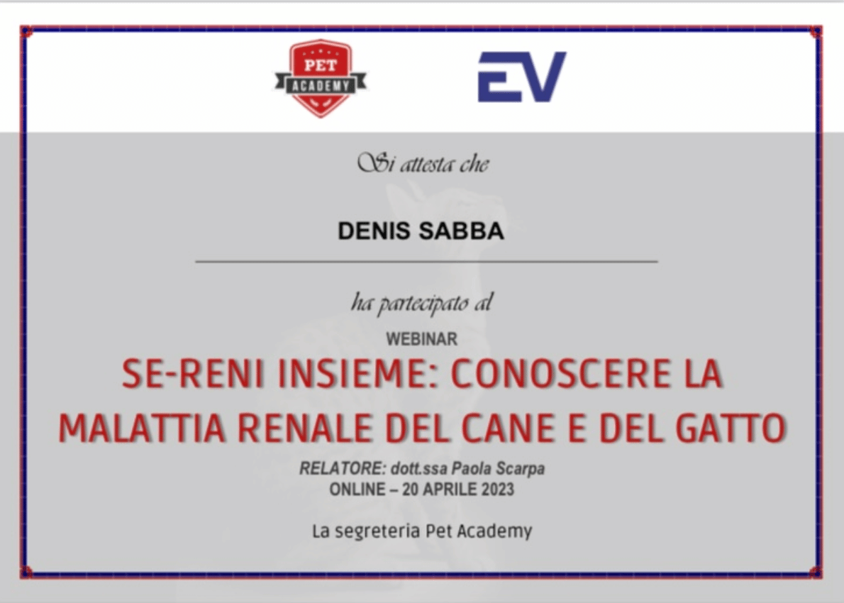 Attestato Denis Sabba Conoscere la malattia renale del cane e del gatto