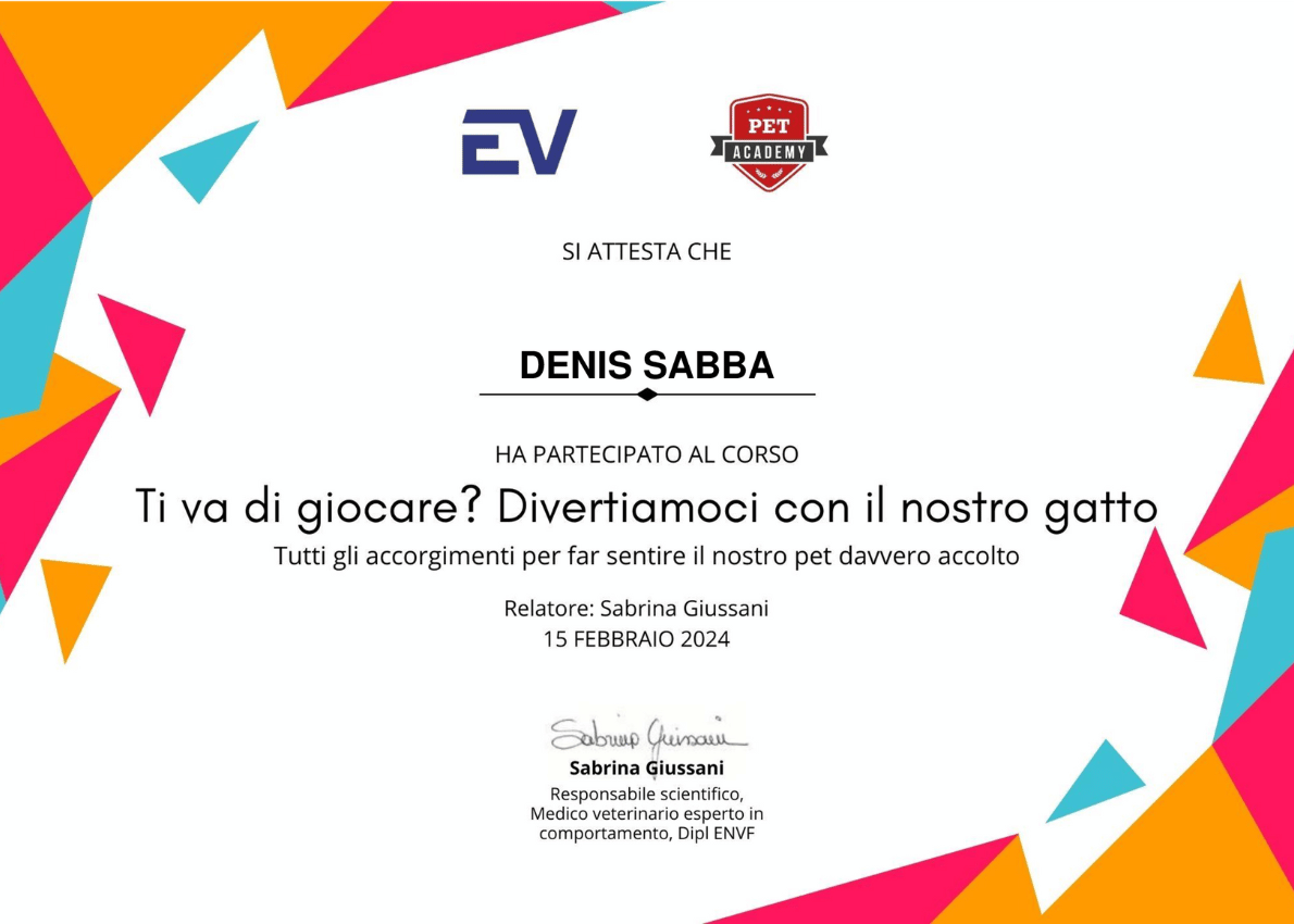Attestato Denis Sabba Partecipazione al corso Divertiamoci con il nostro gatto